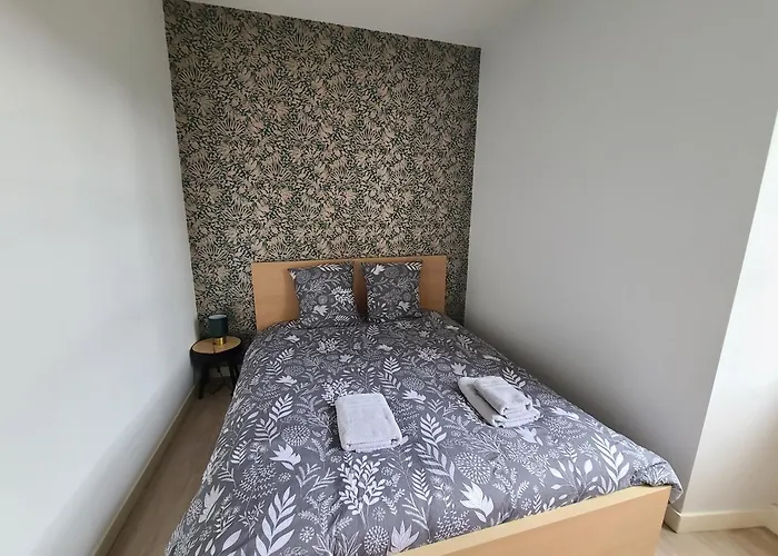 Appartement Bluema 2 Chambres Rdc, Proche Gare, Vue Sur Le Chateau