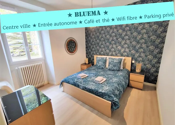 Appartement Bluema 2 Chambres Rdc, Proche Gare, Vue Sur Le Chateau